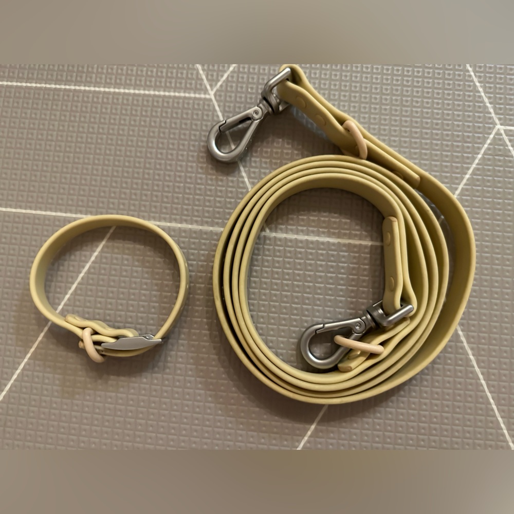 Wildone collar / leash set